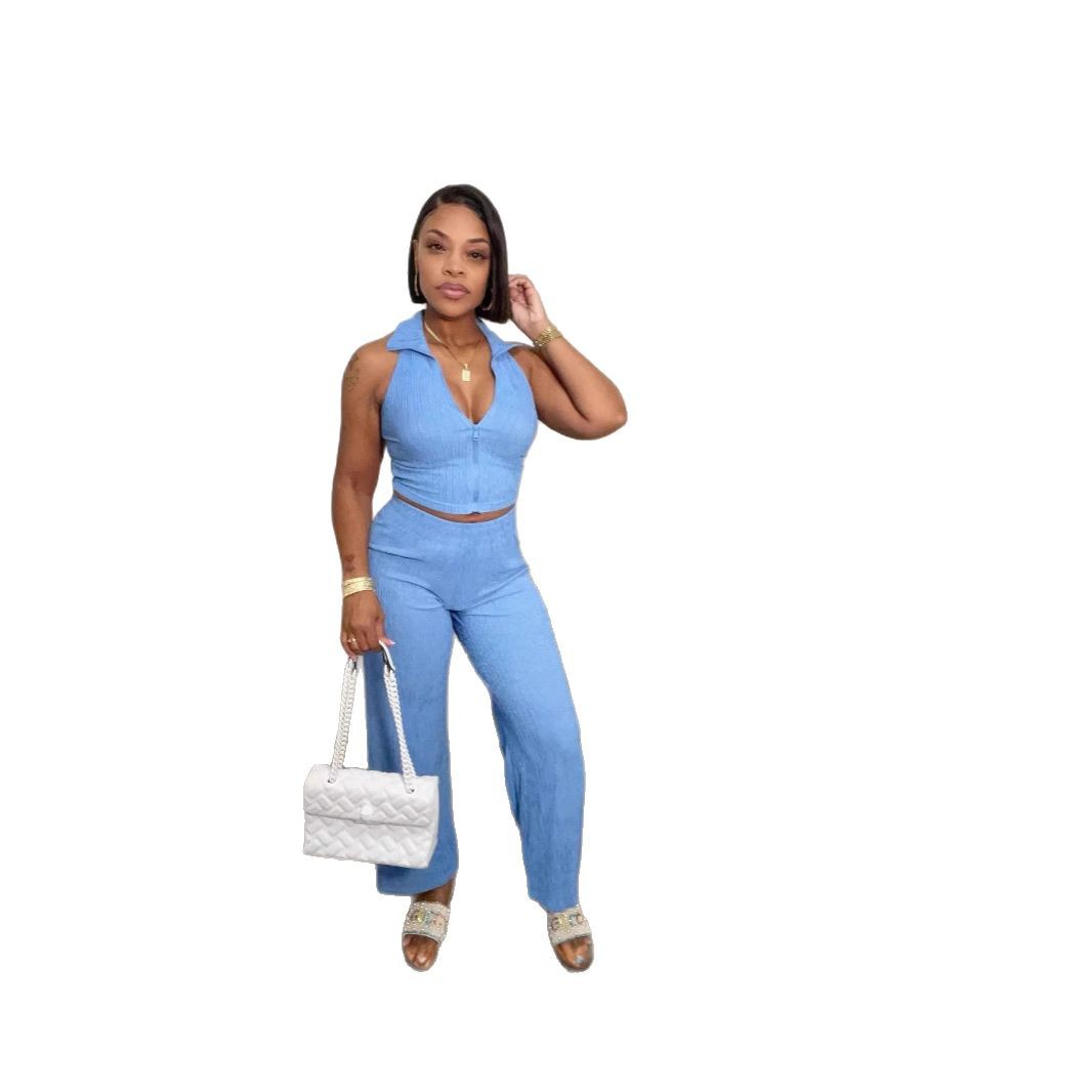 Pleated Casual Pants Set For Women