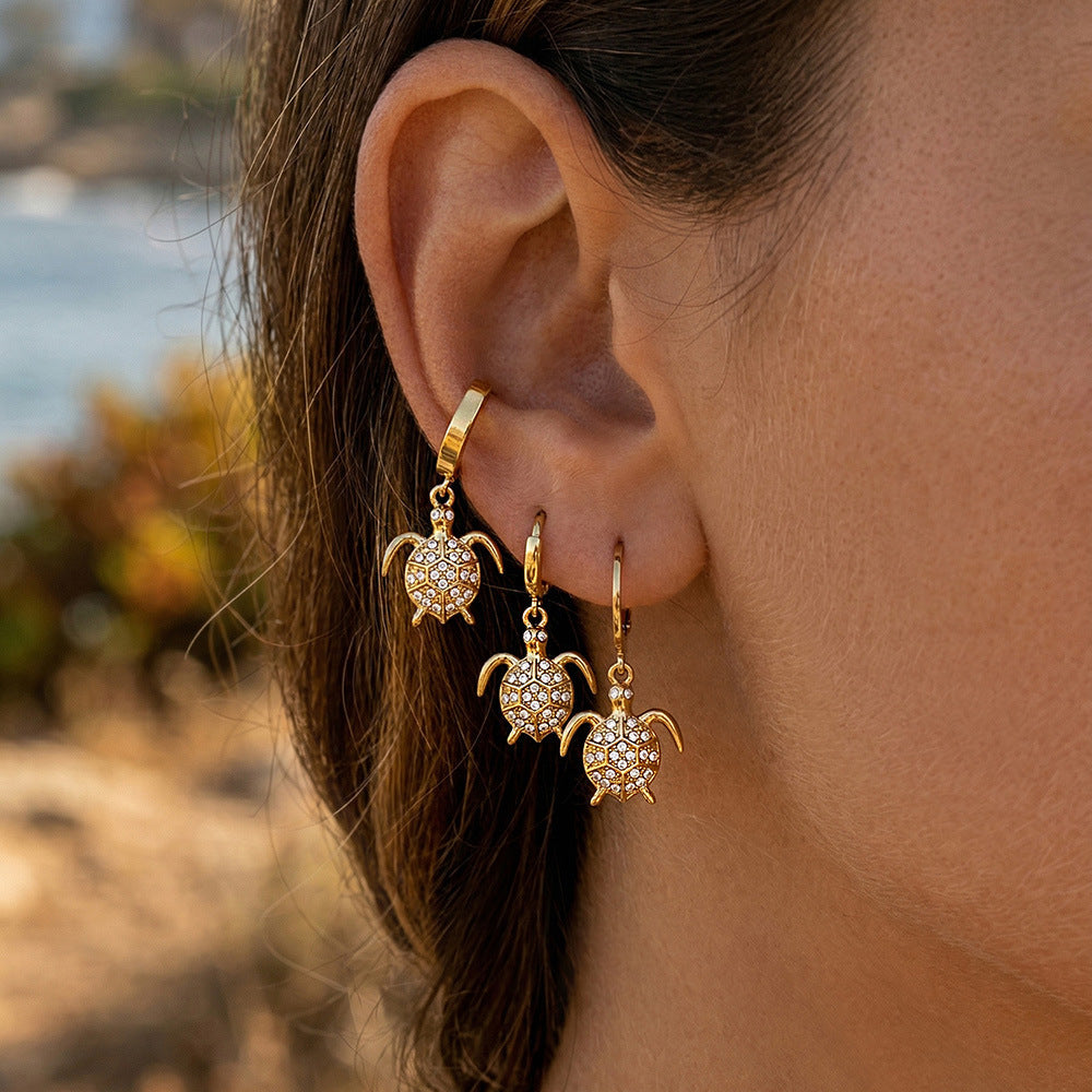 Women's Stainless Steel Ultra-Shimmering Zircon Earrings
